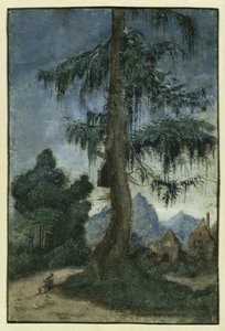  door Albrecht Altdorfer