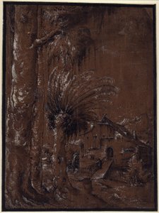 Landschap met watermolen door Albrecht Altdorfer