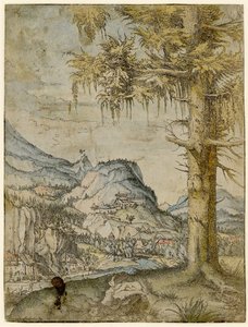 Grote spar, ca. 1517-1520