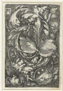 Ornament met bladranken