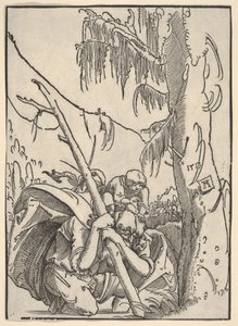  door Albrecht Altdorfer