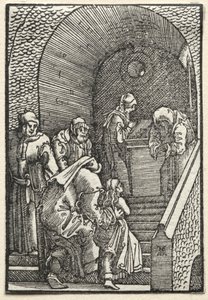De val en verlossing van de mens: De presentatie van de Maagd in de tempel door Albrecht Altdorfer