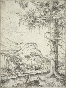 De Grote Spar door Albrecht Altdorfer