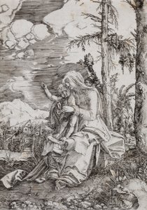 Maria met Kind in een landschap door Albrecht Altdorfer