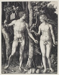 Adam en Eva door Albrecht Dürer
