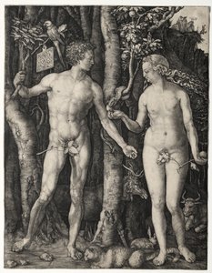 Adam en Eva