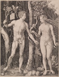  door Albrecht Dürer