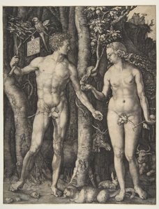  door Albrecht Dürer