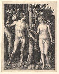  door Albrecht Dürer