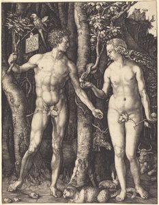  door Albrecht Dürer