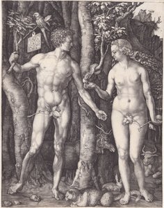  door Albrecht Dürer