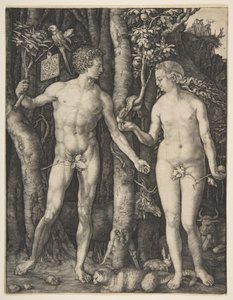 door Albrecht Dürer