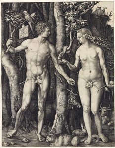 Adam en Eva door Albrecht Dürer