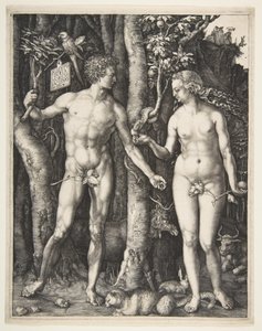 Adam en Eva, 1504