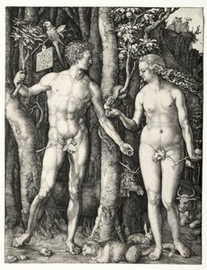 Adam en Eva, 1504