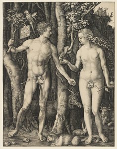 Adam en Eva, 1504