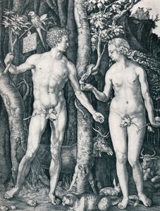 Adam en Eva, 1504
