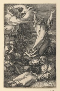  door Albrecht Dürer