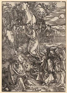  door Albrecht Dürer