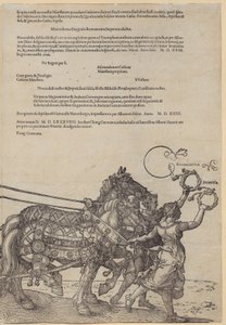  door Albrecht Dürer