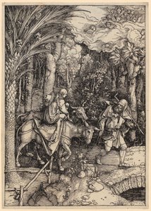  door Albrecht Dürer