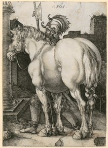  door Albrecht Dürer