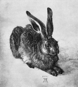 Haas, 1502, 1936