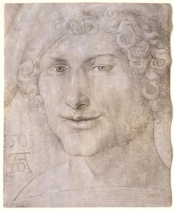  door Albrecht Dürer