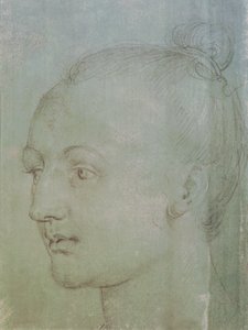Hoofd van een jonge vrouw door Albrecht Dürer