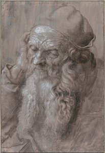 Hoofd van een Oude Man, 1521 door Albrecht Dürer