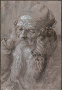Hoofd van een oude man, 1521 door Albrecht Dürer