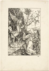 Joachim en de Engel, uit Het Leven van de Maagd door Albrecht Dürer