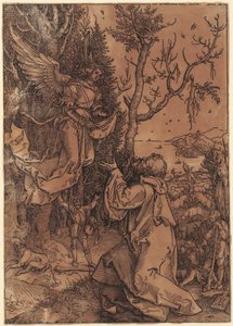  door Albrecht Dürer