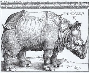 Latijn:  Rhinocerus De neushoorn door Albrecht Dürer