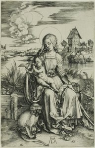 Madonna met de aap