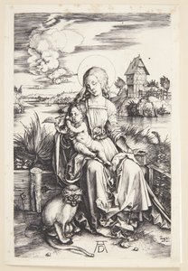 Madonna met de aap door Albrecht Dürer