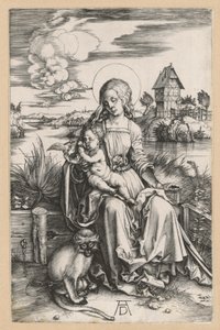  door Albrecht Dürer