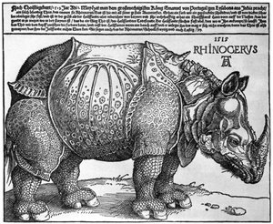 Neushoorn, prent gegeven aan Maximiliaan I door de Koning van Lissabon, 1515, 1936