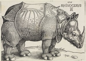 Rhinocerus (De neushoorn) door Albrecht Dürer