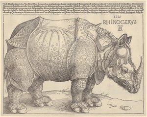  door Albrecht Dürer