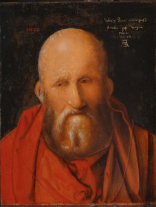 Sint Hiëronymus, 1514 door Albrecht Dürer