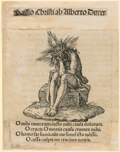  door Albrecht Dürer