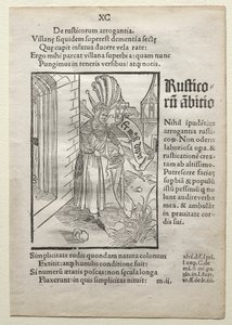 Narrenschip door Albrecht Dürer
