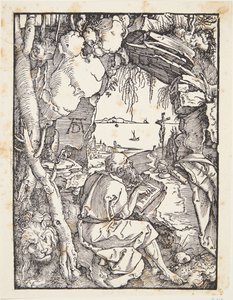 Sint Hiëronymus in de grot