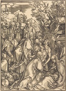  door Albrecht Dürer