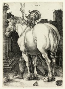 Het Grote Paard door Albrecht Dürer