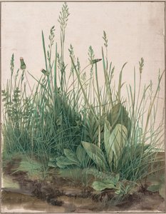 Het Grote Stuk Gras, 1503