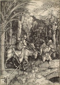  door Albrecht Dürer