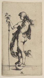 Het kleine fortuin door Albrecht Dürer