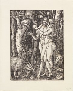  door Albrecht Dürer